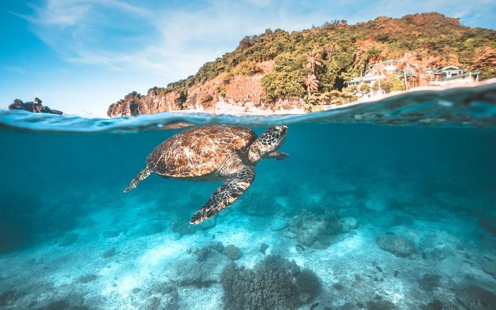 Dumaguete — Philippines