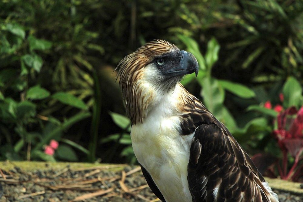 Davao — Philippines